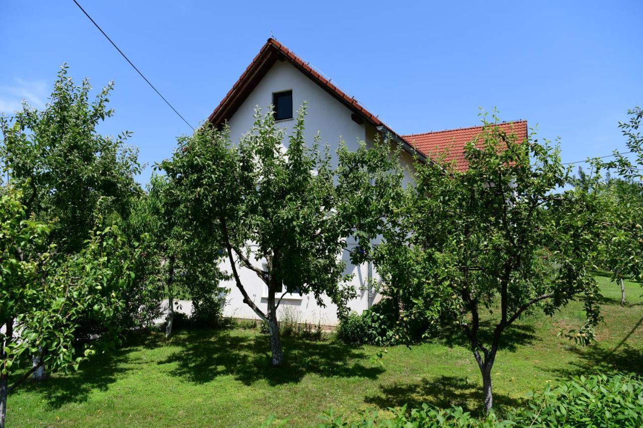 Apartment Stjepan Rakovica Exterior photo