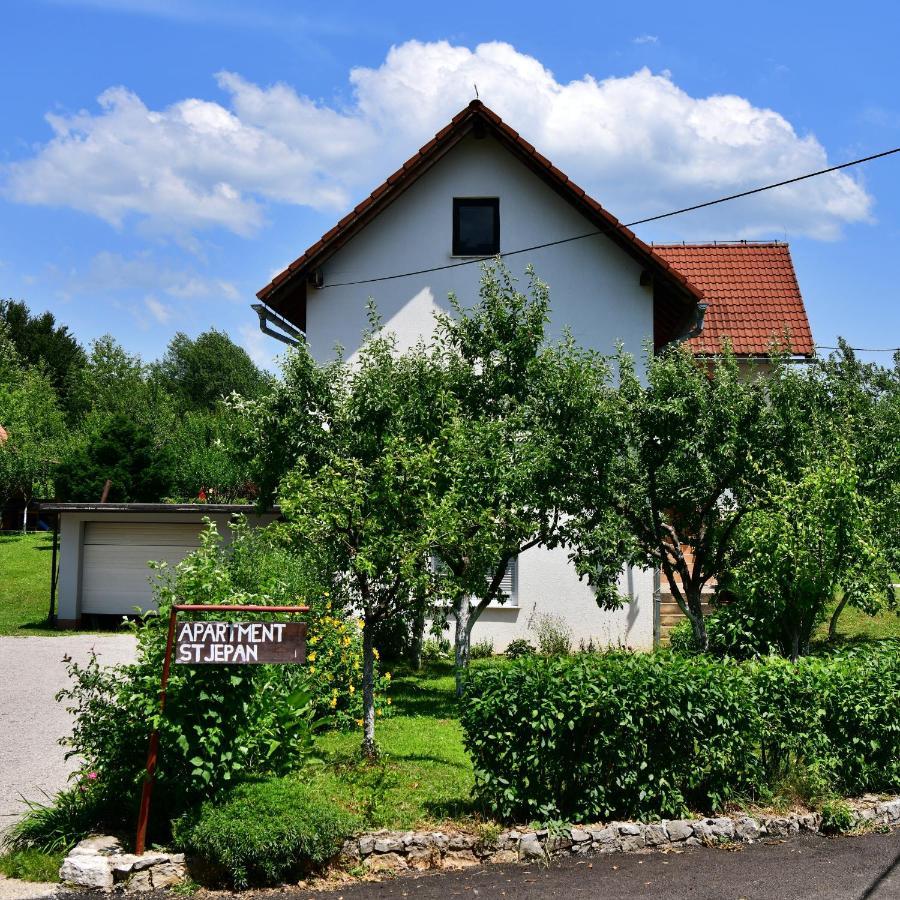 Apartment Stjepan Rakovica Exterior photo