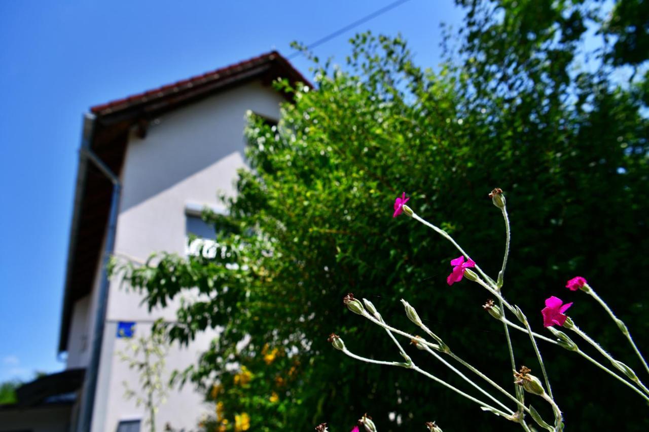 Apartment Stjepan Rakovica Exterior photo